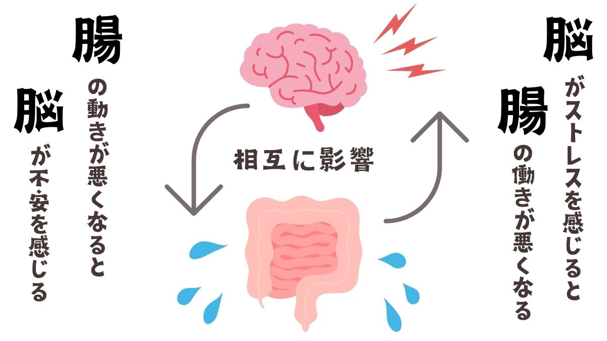 脳がストレスを感じると腸の動きが悪くなる。腸の動きが悪くなると脳が不安を感じる。