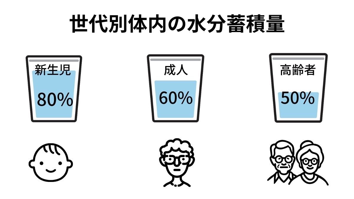 世代別体内の水分蓄積量は赤ちゃんが80%、成人が60%、高齢者が50%です。