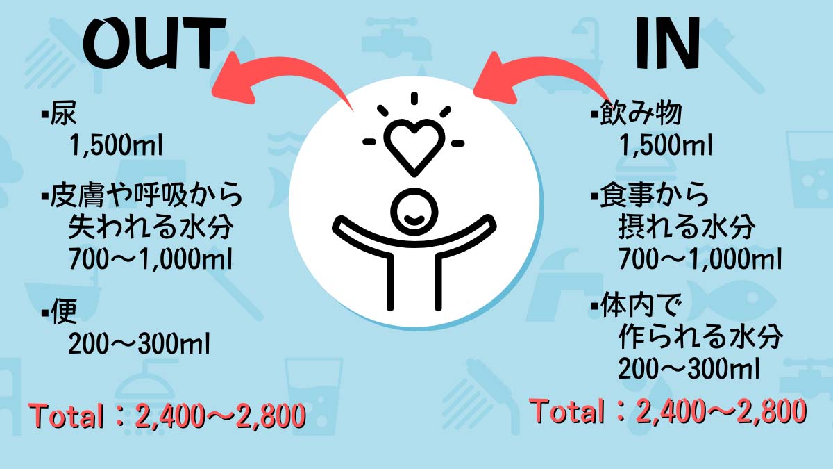 体から排せつされる水分量は尿が1,500ml、皮膚や呼吸から失われる水分が700～1,000ml、便が200～300mlで、合計2,400～2,800mlになる。
体に取り入れる水分は、飲み物が1,500ml、食事から摂れる水分が700～1,000ml、体内で作られる水分が200～300mlで、合計2,400～2,800mlになる。