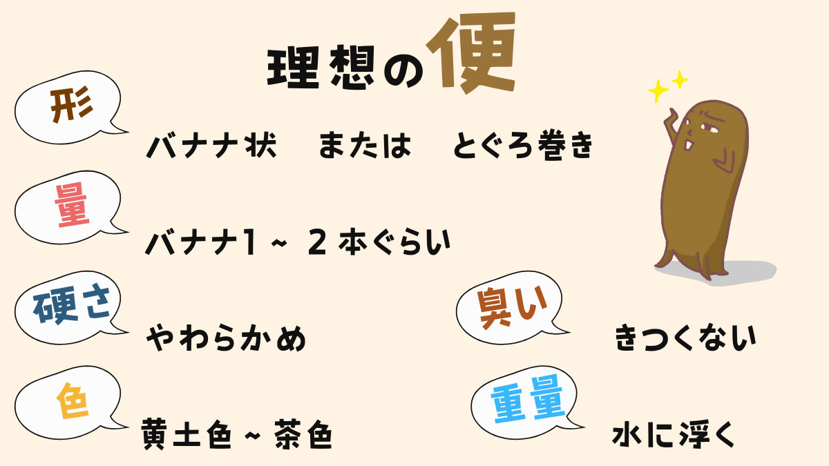 理想の便は、形：バナナ状またはとぐろ巻き、量はバナナ1～2本ぐらい、硬さはやわらかめ、色は黄土色～茶色、臭いはきつくない、重量は水に浮くぐらい。