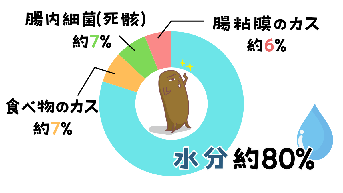 便の成分の約80%は水分。残りの約7%が食べ物のカス、約7%が腸内細菌の死骸、約6%が腸粘膜のカスです。